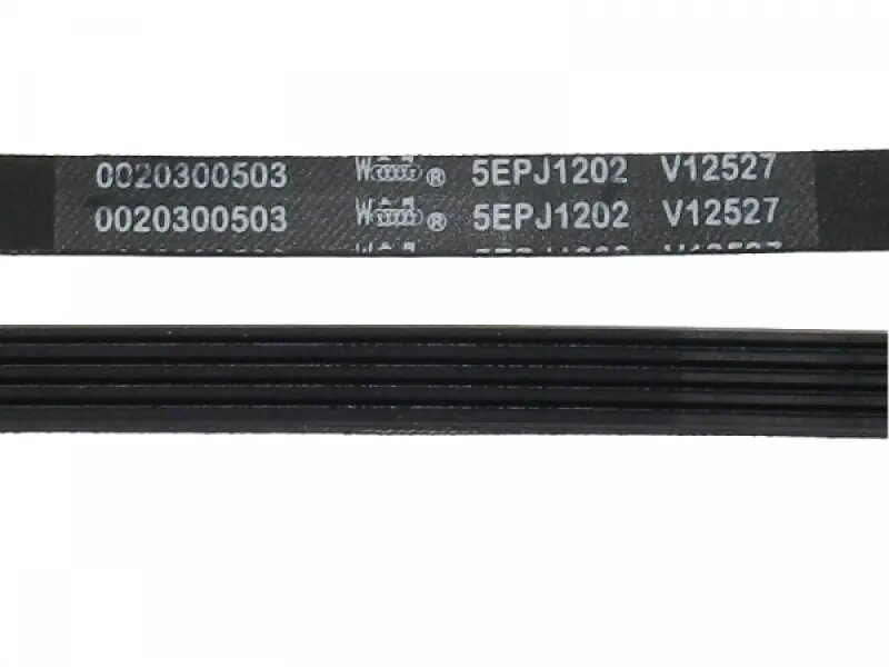 Ремень 1202J5 Megadyne стиральной машины Haier 0020300503